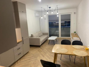Stylish, Modern Apartment Warsaw near Airport